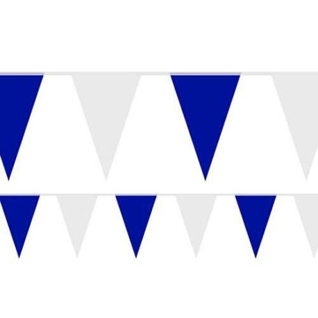 Blue and White Bunting