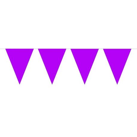Purple Bunting