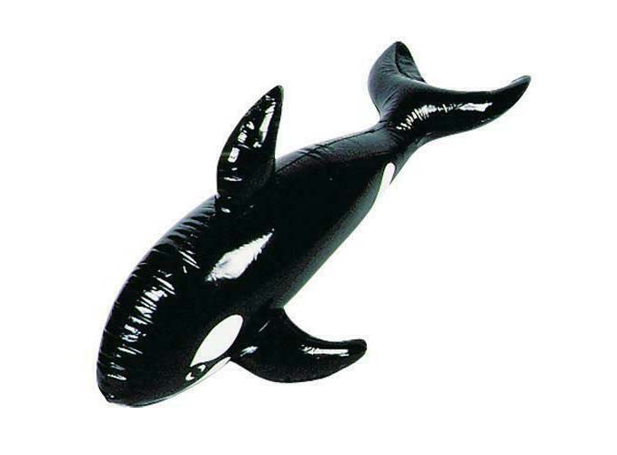 inflatable orca, killer whale